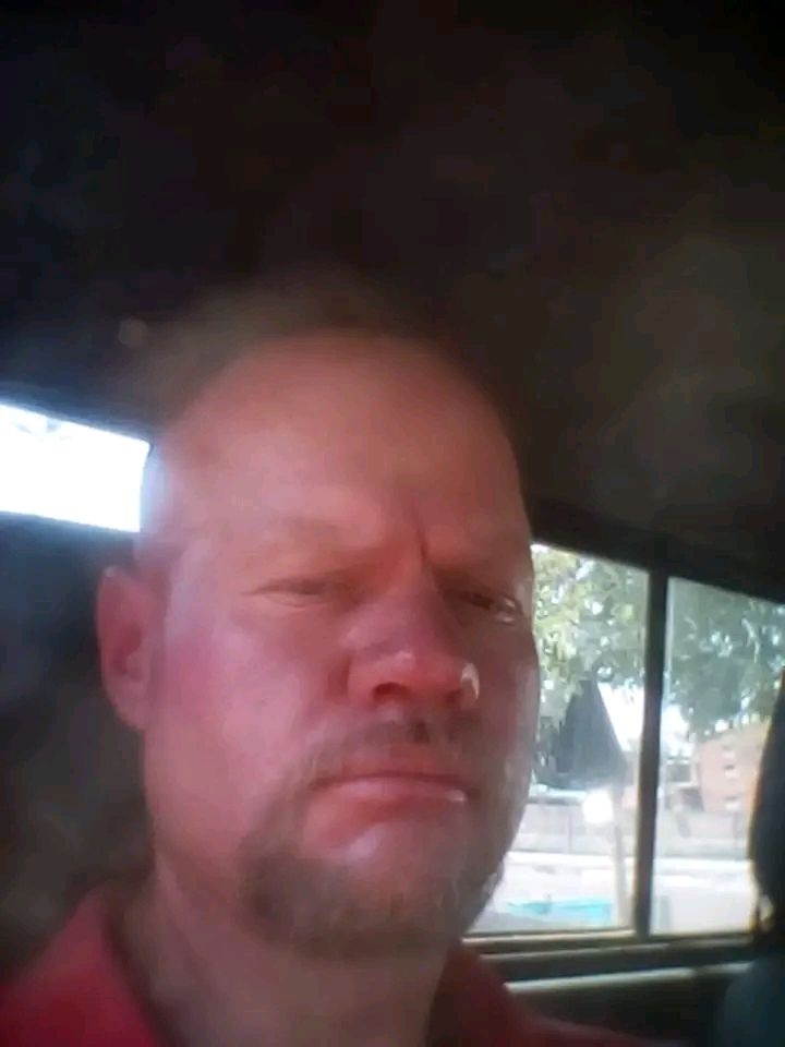 vlermuis78 vlermuis78