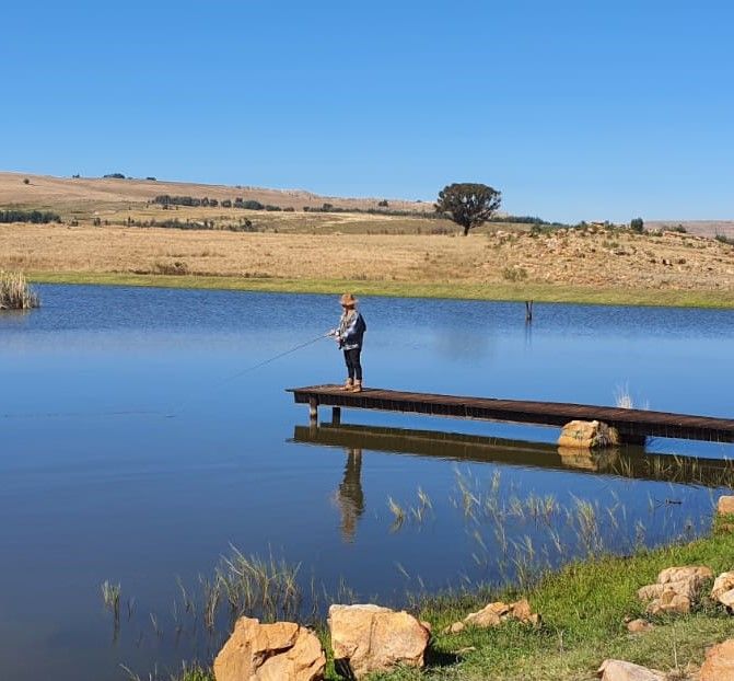 1962Raremodel 1962Raremodel