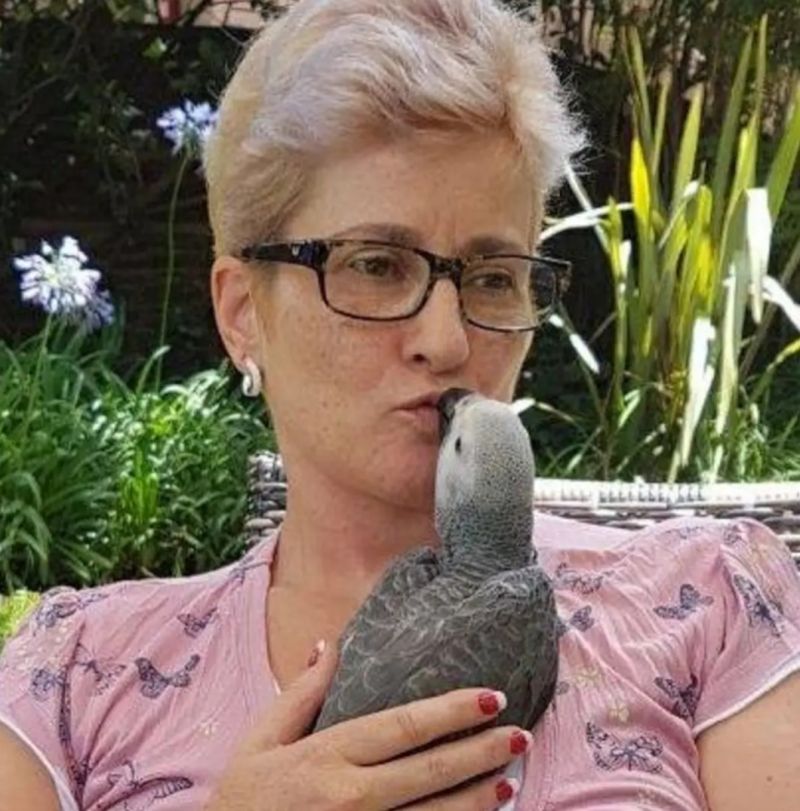 Seabreeze62 Seabreeze62