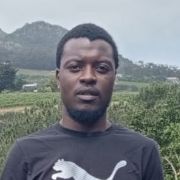 Veelo