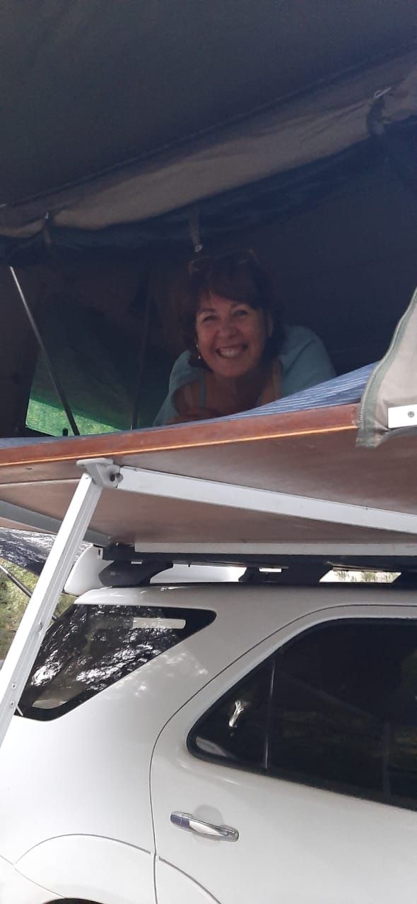 drivingmissdaisy drivingmissdaisy