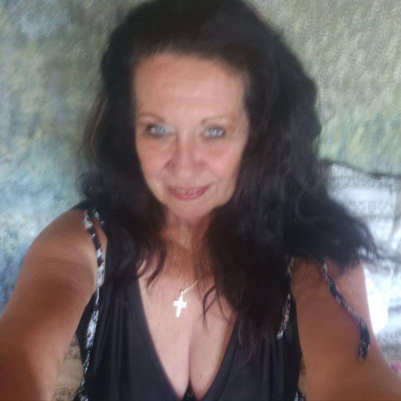 Shellshell Shellshell