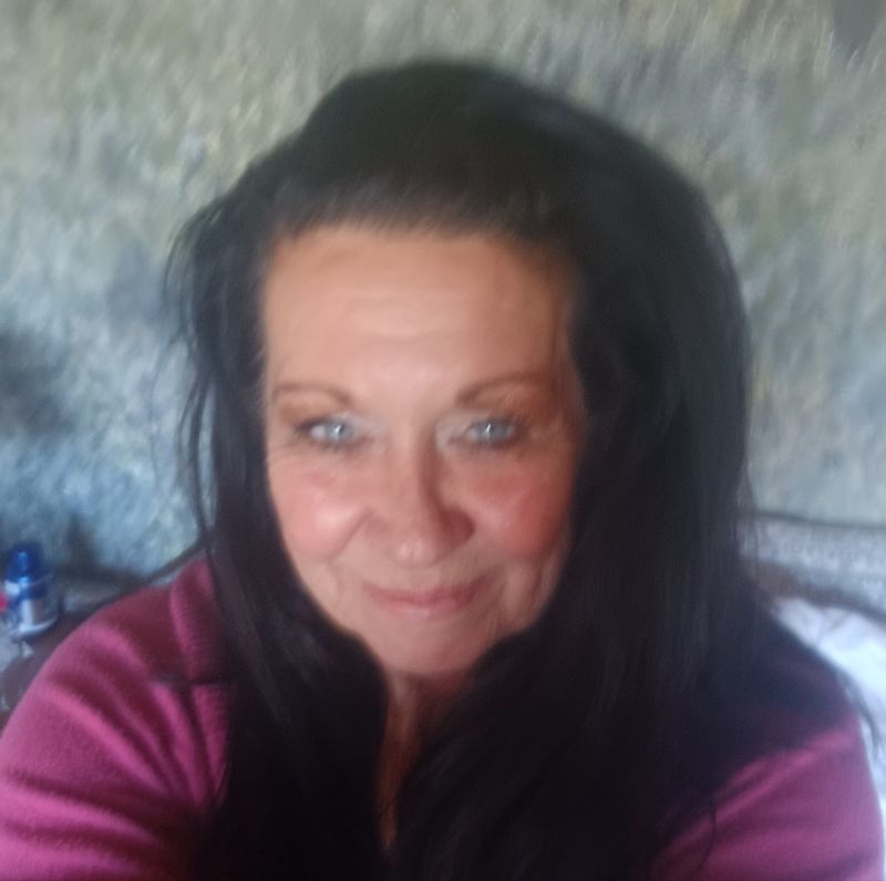 Shellshell Shellshell