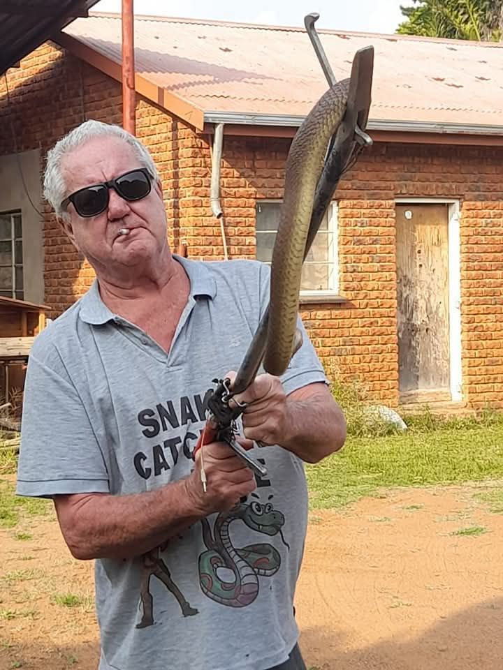 davecobra