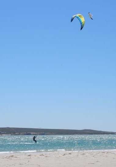 Zestfornature Zestfornature