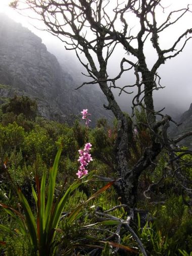 Zestfornature Zestfornature