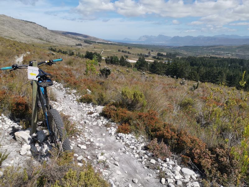 BeRealBeYourselfGrow