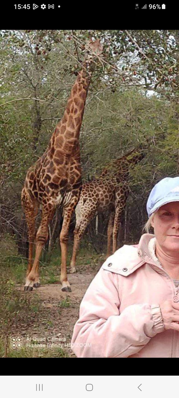 Bushbabymarlothpark Bushbabymarlothpark