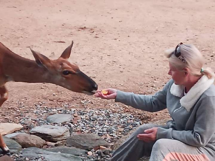 Bushbabymarlothpark Bushbabymarlothpark