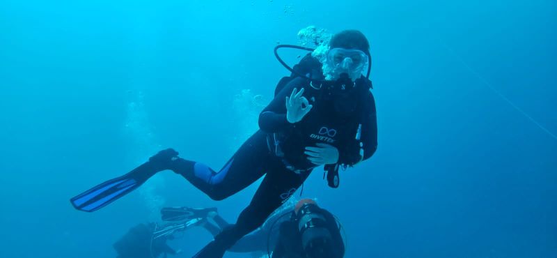 Alleenvlug Alleenvlug