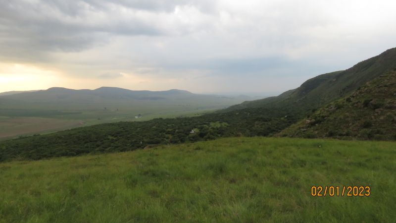 LovingAngels477 LovingAngels477