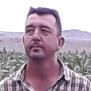 gerrit777