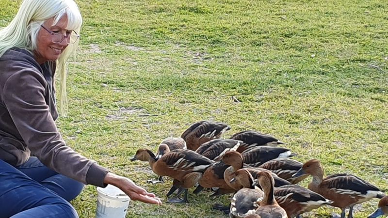 Cora178perrarus Cora178perrarus