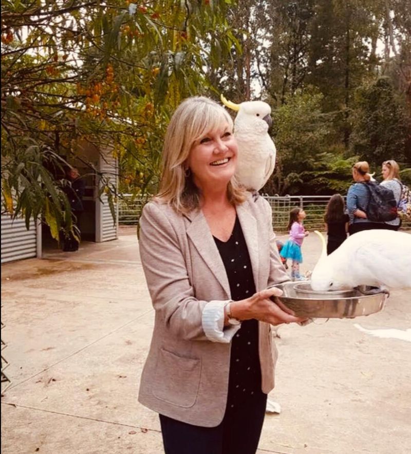 wildflower47 wildflower47