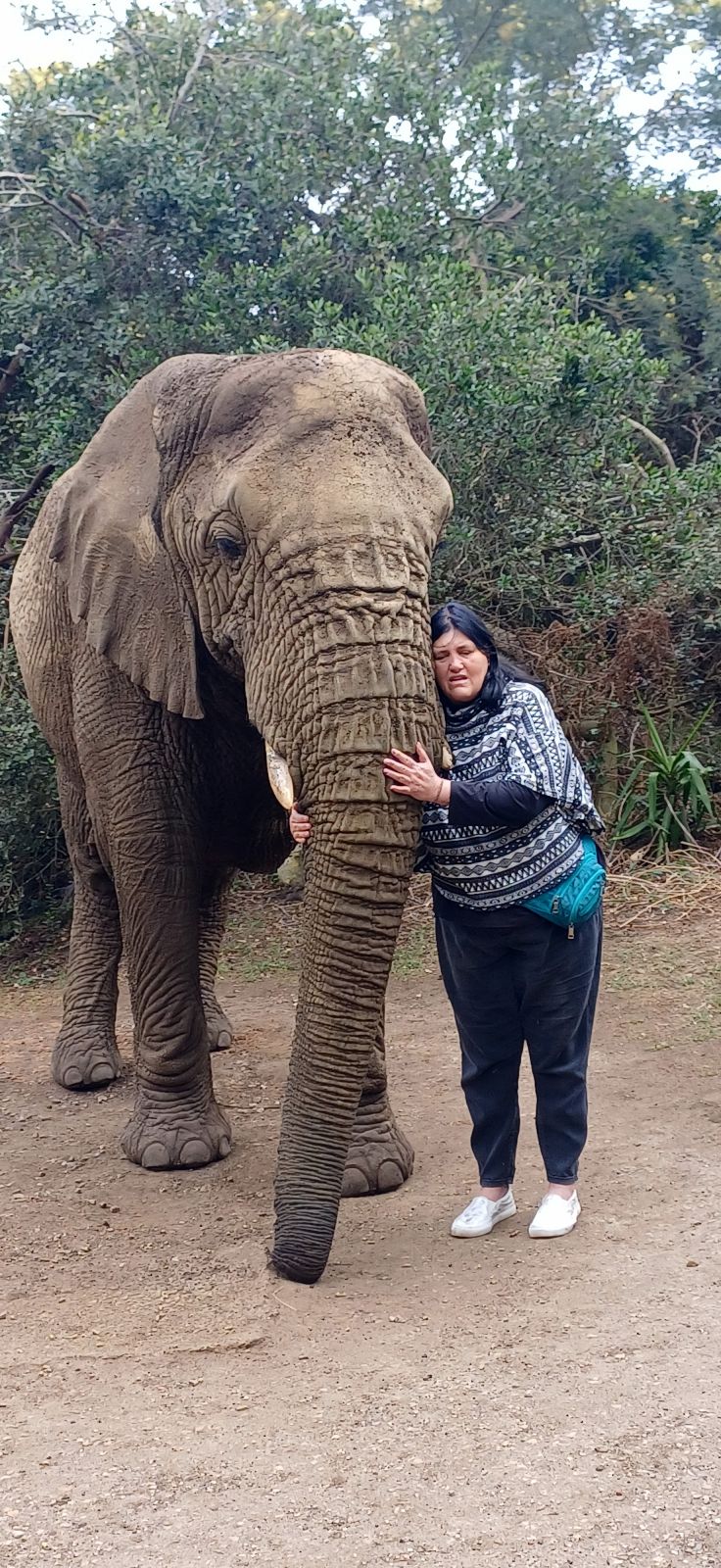 FelsbornBushbaby27 FelsbornBushbaby27