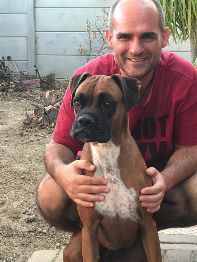 ReiviloNova ReiviloNova