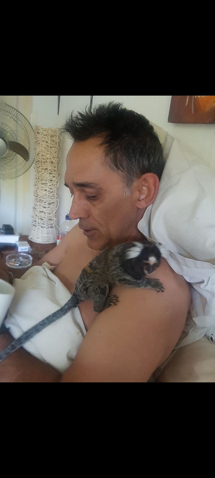 SDD201 SDD201